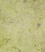 Jura.gif
