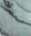 Kandia.gif