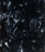 Liva.gif