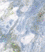 Tally blue.gif