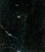 Veria Green.gif