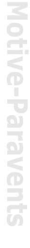 motive_paravents